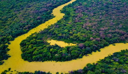 parque-impenetrable-chaco.jpg