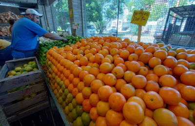 Si las lluvias acompañan los precios podrían normalizarse para las próximas cosechas