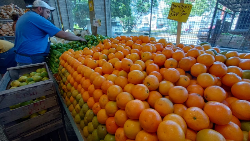 Si las lluvias acompañan los precios podrían normalizarse para las próximas cosechas