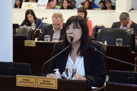 Elida Cuesta ley.JPG