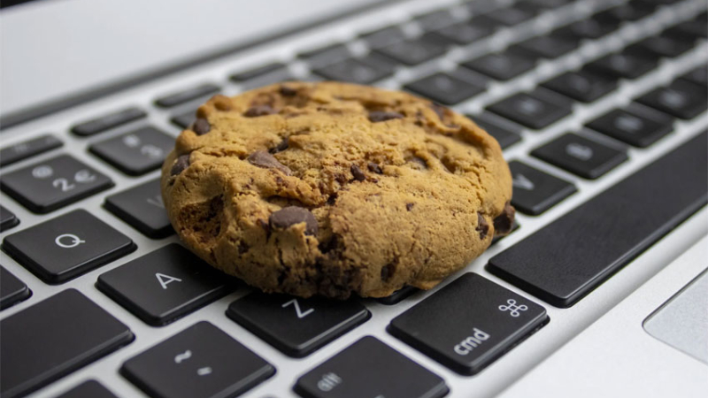 Google anunció el final de las cookies en su navegador