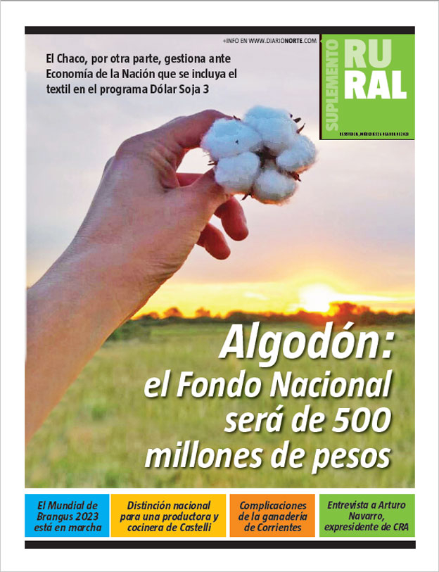 Algodón: el Fondo Nacional será de 500 millones de pesos
