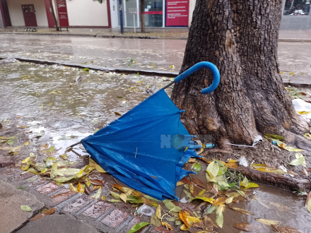 lluvia3.jpg
