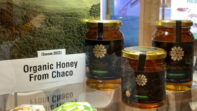 Chaco está muy bien posicionado en la producción de miel
