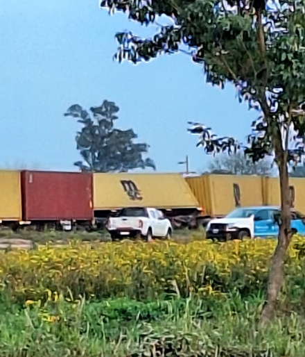 tren4.jpg