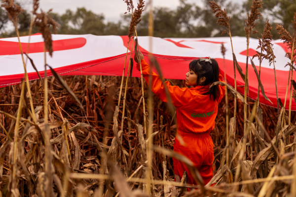 © Sebastian Pani / Greenpeace