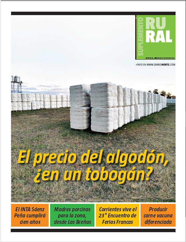 El precio del algodón, ¿en un tobogán?