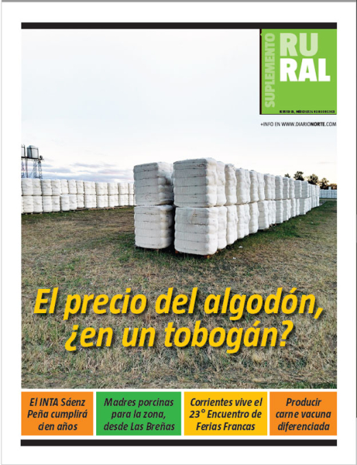 El precio del algodón, ¿en un tobogán?