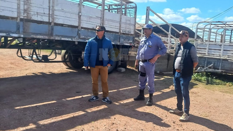 Sereno de la Cooperativa de Matarifes murió aplastado por un camión con ganado