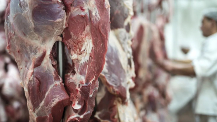 carne.jpg
