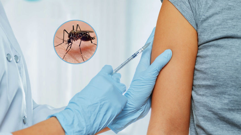 En septiembre llega la vacuna contra el dengue y en Salud diagraman el operativo