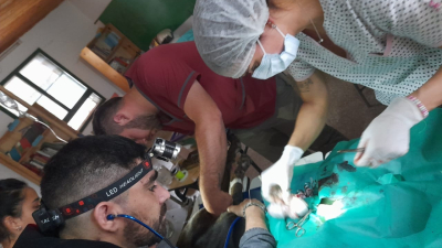 Veterinarios reciben donaciones para realizar un operativo sanitario en El Impenetrable
