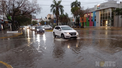 Las lluvias, aunque escasas, aliviaron al sector productivo