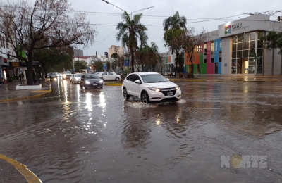 Las lluvias, aunque escasas, aliviaron al sector productivo