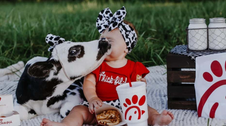 cows2.jpg