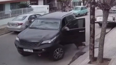 Un perro se subió a una camioneta y la chocó