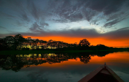 amazonas3.jpg
