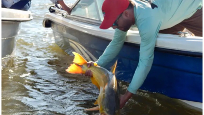 Disponen una nueva veda extraordinaria de pesca para Corrientes