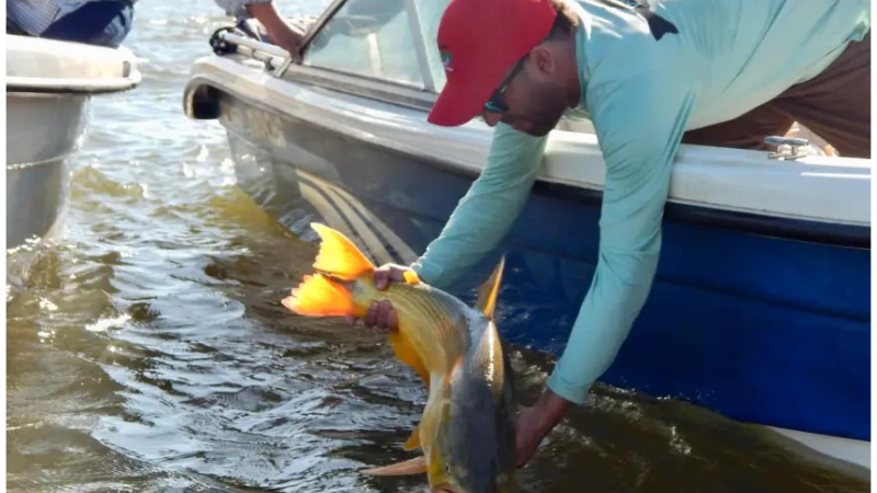 Disponen una nueva veda extraordinaria de pesca para Corrientes
