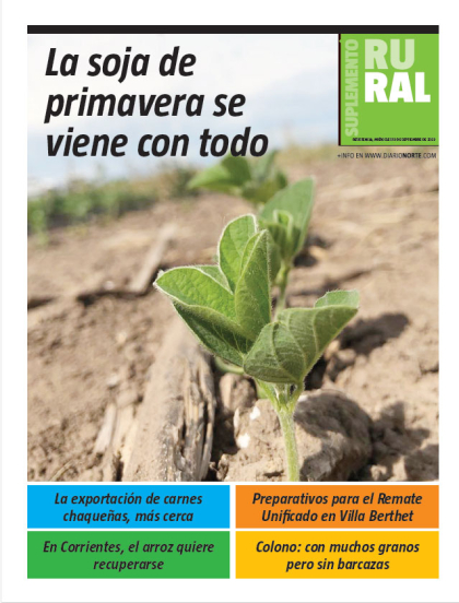 La soja de primavera se viene con todo
