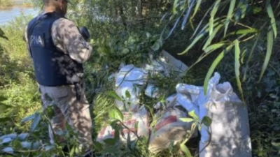 Millonario decomiso de marihuana en isla, signo de relevo a "Morenita"