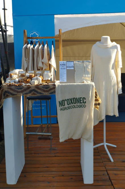 algodón agroecológico3.jpg