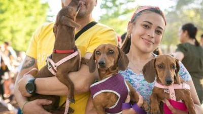 La comunidad "salchicha" convoca al último encuentro del año