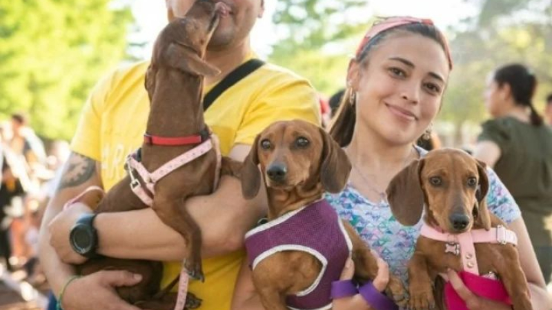 La comunidad "salchicha" convoca al último encuentro del año