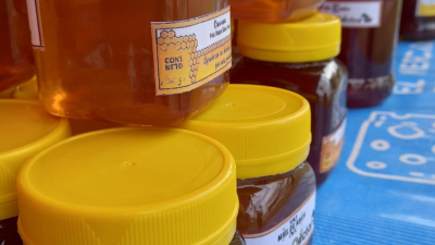 Cae la venta de miel envasada por falta de recursos del consumidor