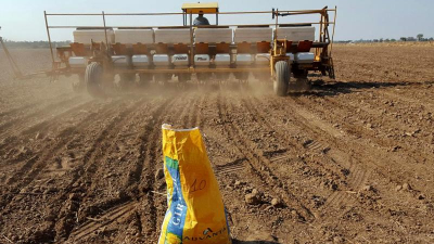 La falta de lluvias complica el estado del trigo y la siembra de girasol