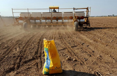 La falta de lluvias complica el estado del trigo y la siembra de girasol