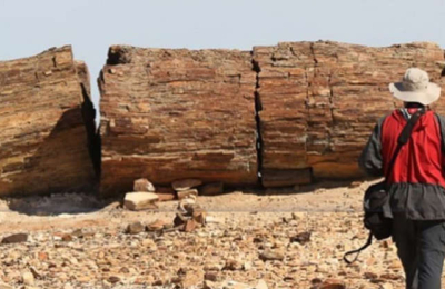 El bosque petrificado El Sauce fue declarado patrimonio cultural e histórico