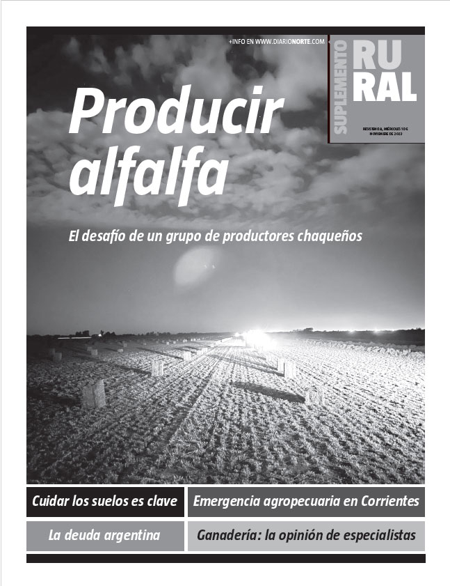Producir alfalfa