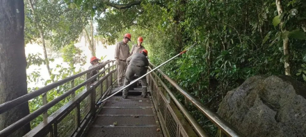 Image1.jpg
