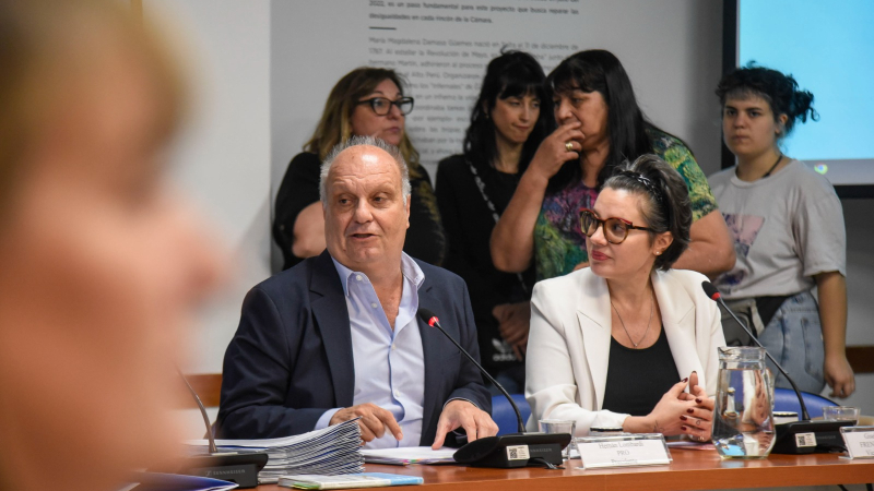 Avanza en Diputados el proyecto sobre Ley Nacional de la Danza