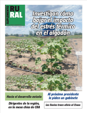 Investigan cómo bajar el impacto del estrés térmico en el algodón