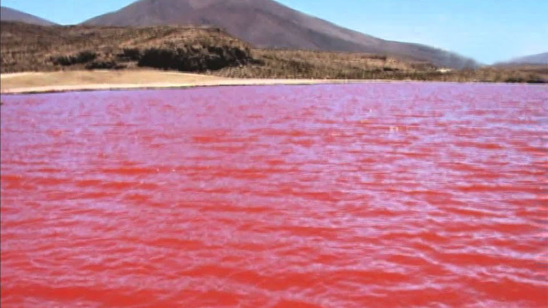Misterio en Egipto: el Río Nilo se tiñó de rojo