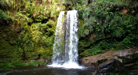 cascada4.jpg