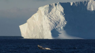 Un iceberg gigante se desprendió de la Antártida y navega a la deriva hacia el norte