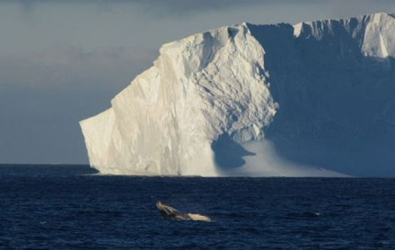 iceberg3.jpg
