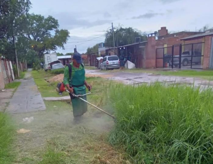 LIMPIEZA ZONA SUR (1).jpeg