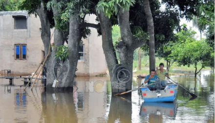 vilelas3.jpg