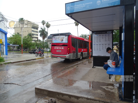 sin colectivos diciembre 2.JPG