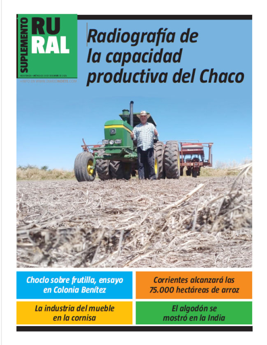 Radiografía de la capacidad productiva del Chaco