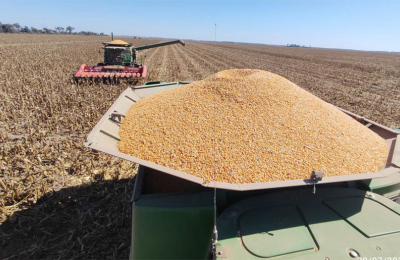 Cuánto aportará el agro al país en 2024