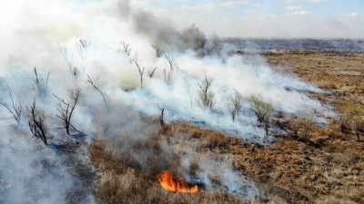 "Milei impulsa una fuerte regresión ambiental"