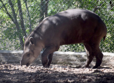 zoo2.jpg