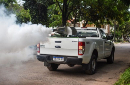 dengue.jpg