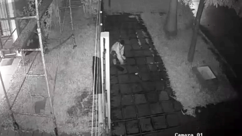 En solo 23 segundos, robaron un medidor de agua en Villa El Dorado