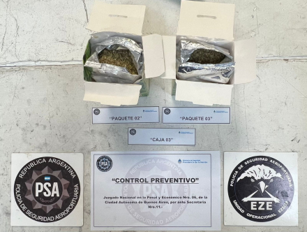 yerba1.jpg